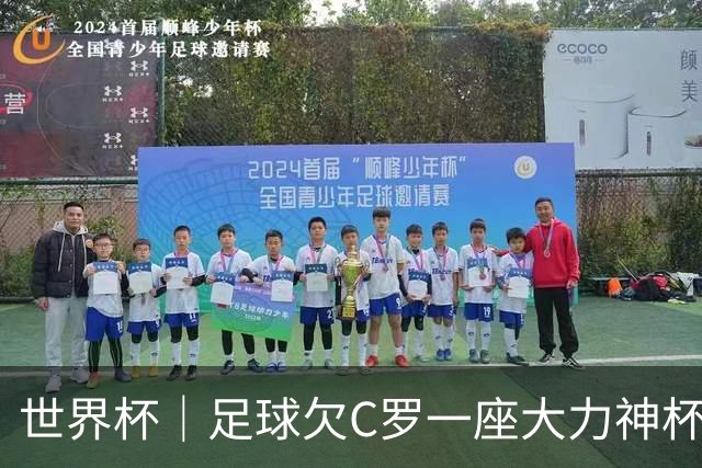 世界杯｜足球欠C罗一座大力神杯吗？