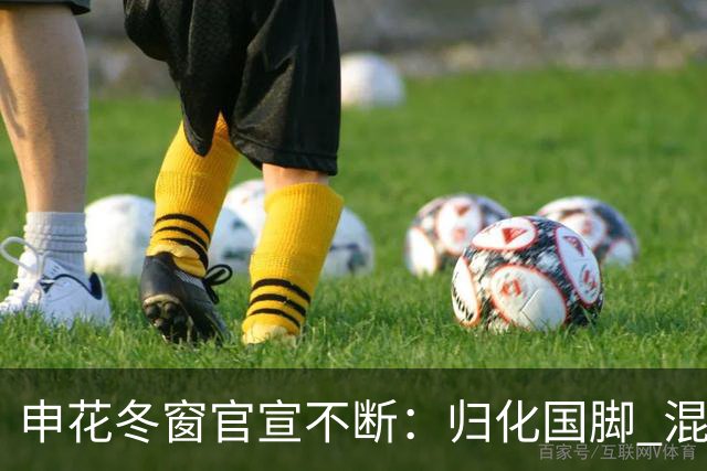 申花冬窗官宣不断：归化国脚 混血前锋 教练组有新人
